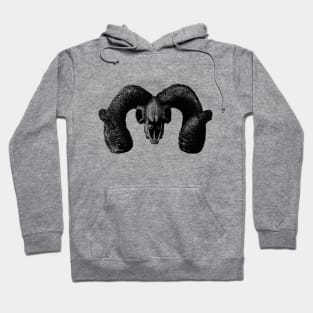 Bighorn Hoodie